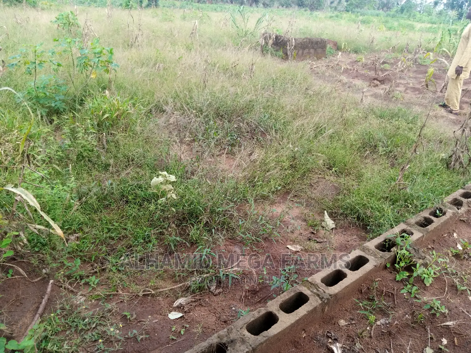 Residential 4 Plots of Land for Sales in Ilaro