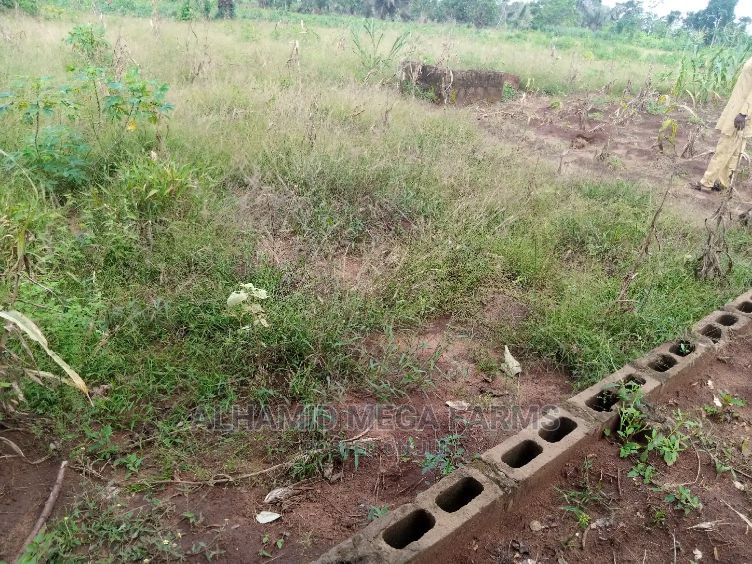 Residential 4 Plots of Land for Sales in Ilaro