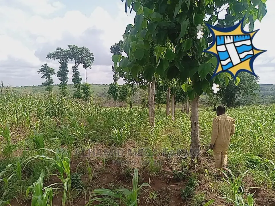 800 Acres of Farmland for Sale at 350,000 Per Acre in Odeda