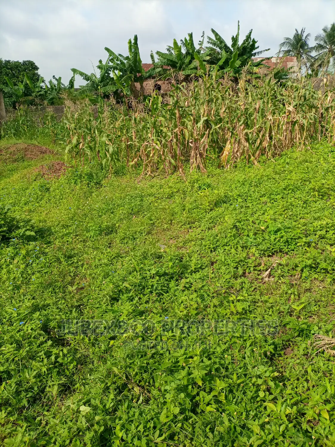 Half Plot of Land for Sale at Peace Estate Alimosho in Alimosho