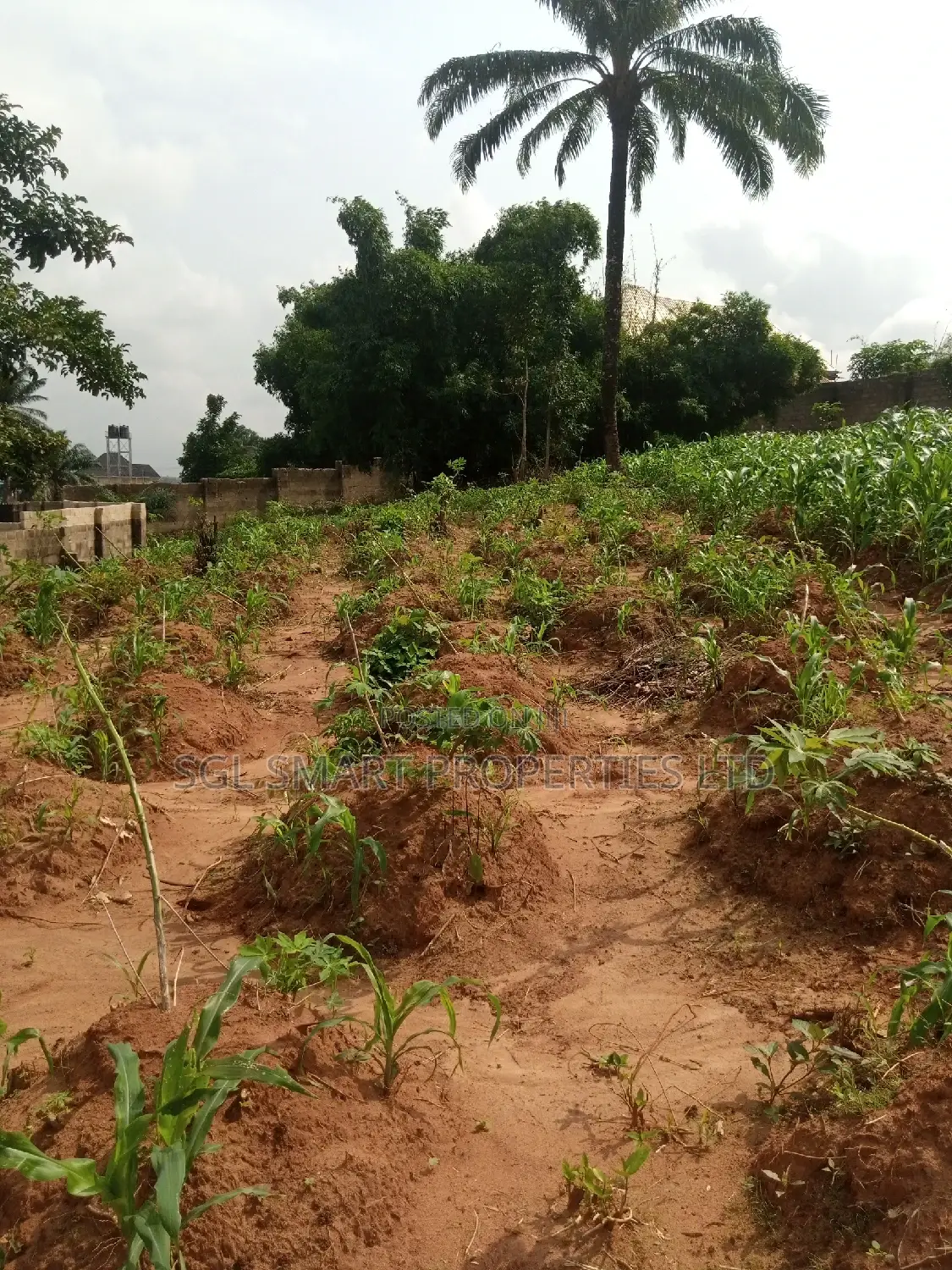 Land for Sale at Nibo in Awka