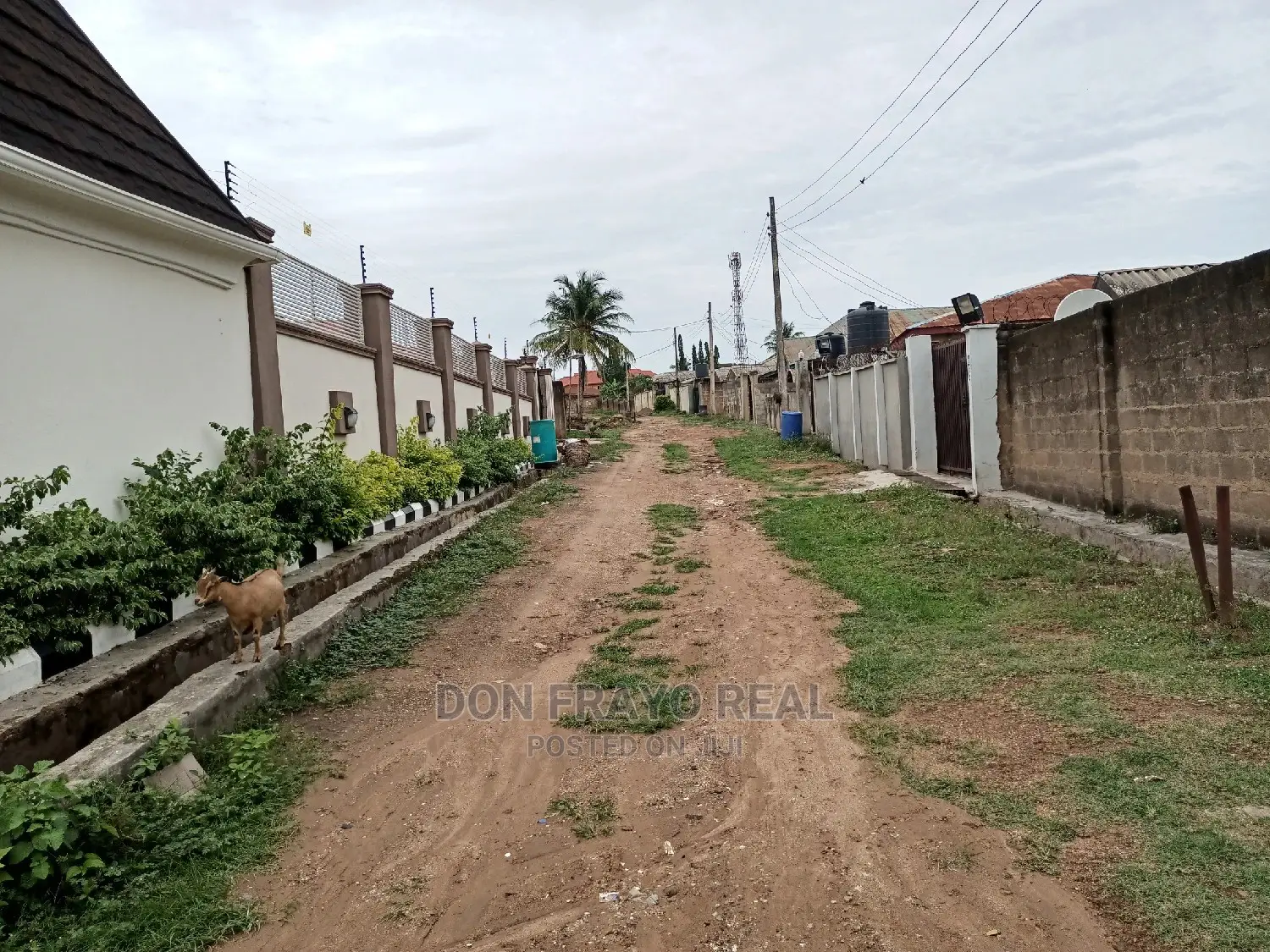 4 Plots for Sale Opp Dollar Estate Alafara Near Nihort in Idishin