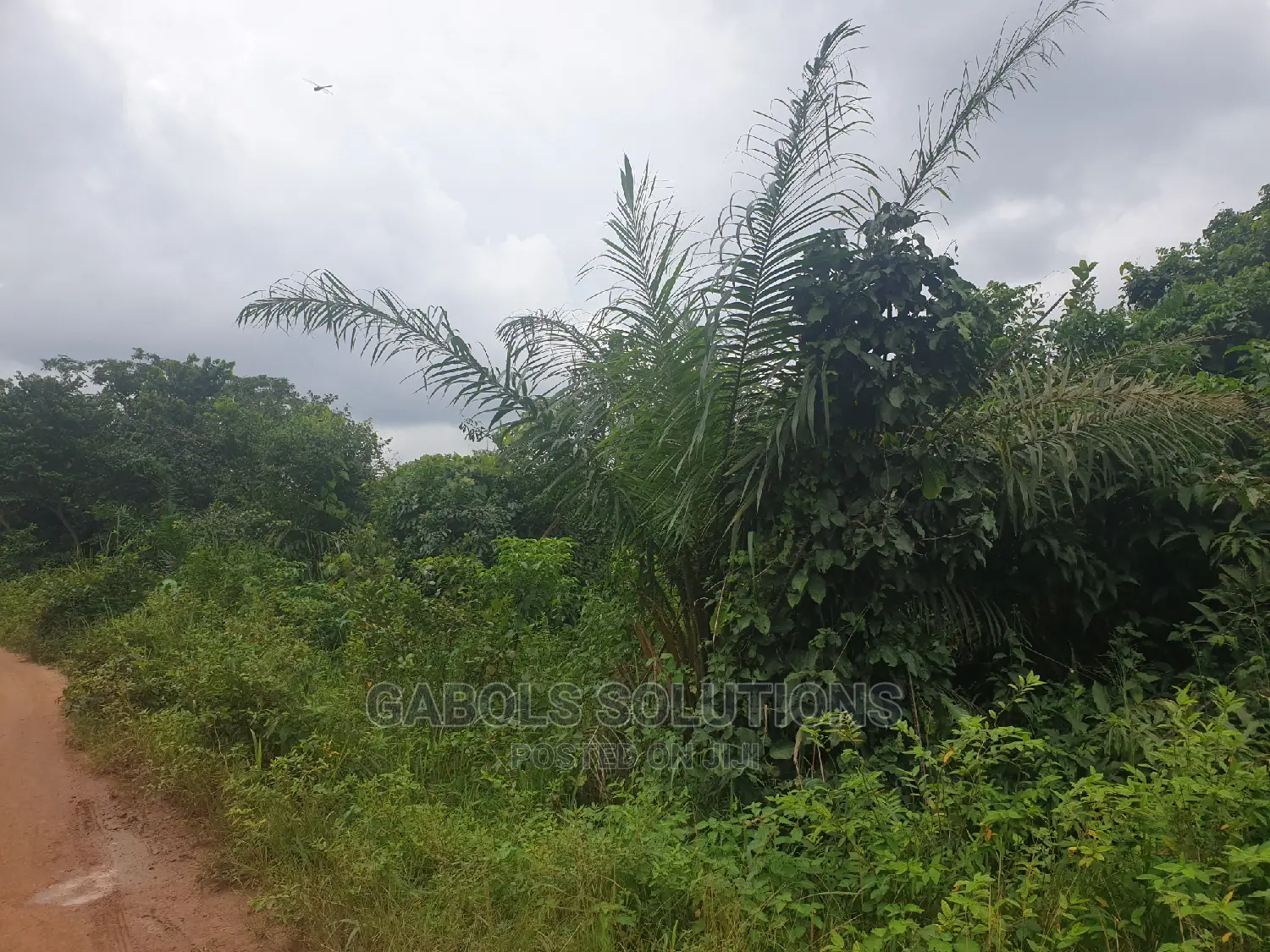 100 Acres of Dry Land at Igbonla Epe for Sale in Epe