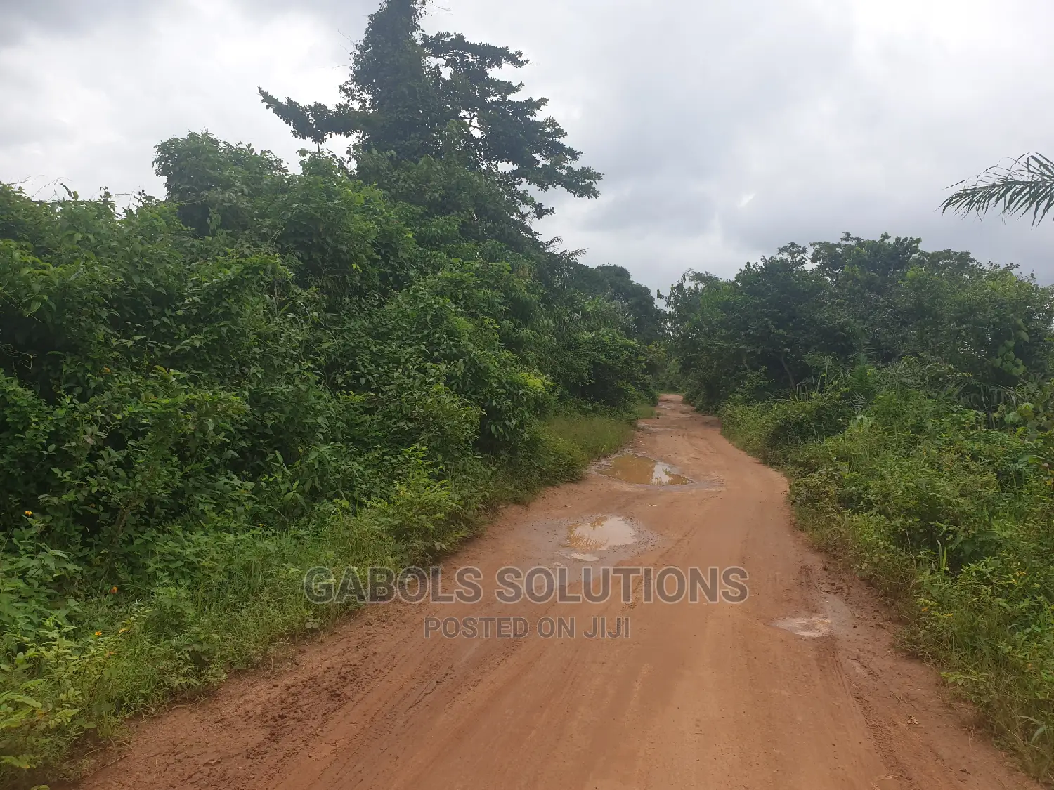 100 Acres of Dry Land at Igbonla Epe for Sale in Epe