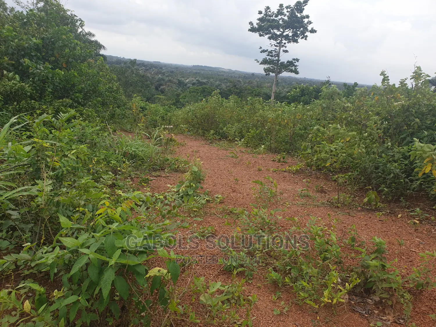 400 Acres of Dry Land Along Itokin Road Epe in Epe