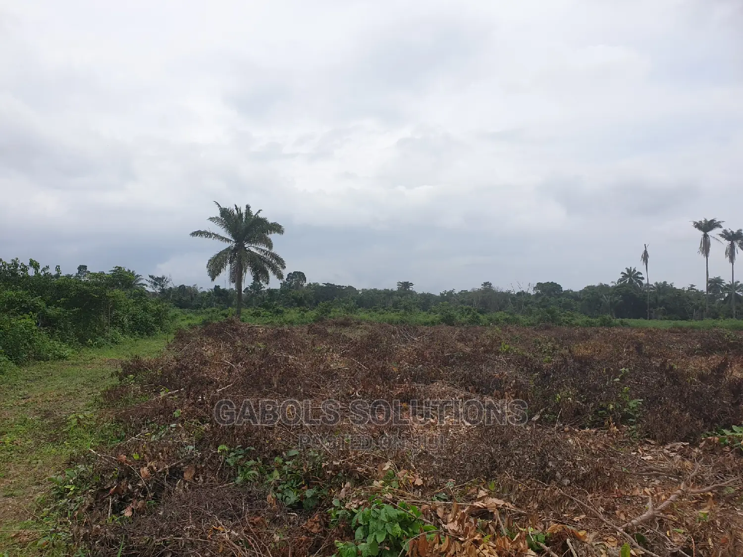 20 Acres of Dry Land for Sale at Eleko Ibeju in Idi-Orogbo