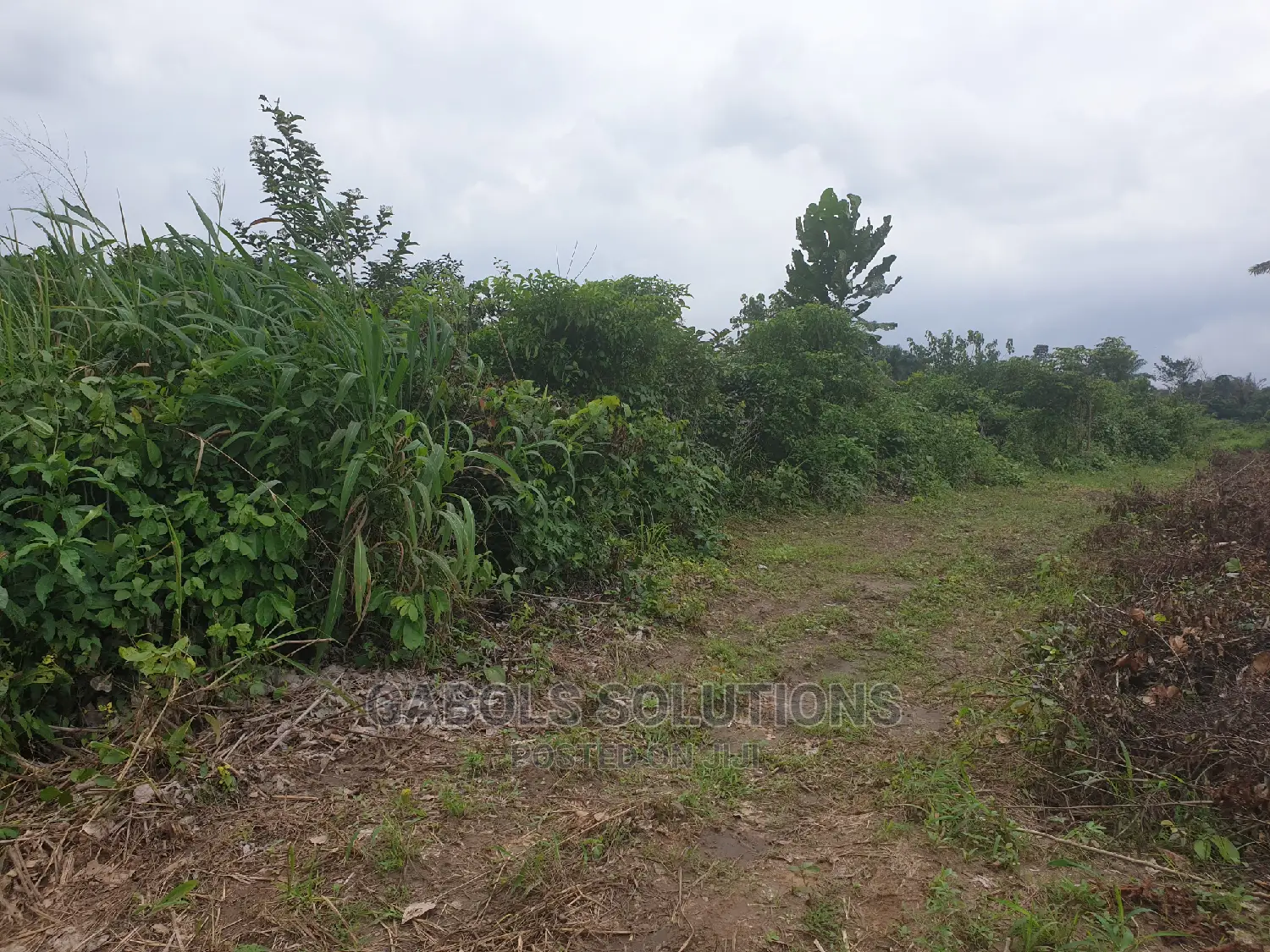 20 Acres of Dry Land for Sale at Eleko Ibeju in Idi-Orogbo