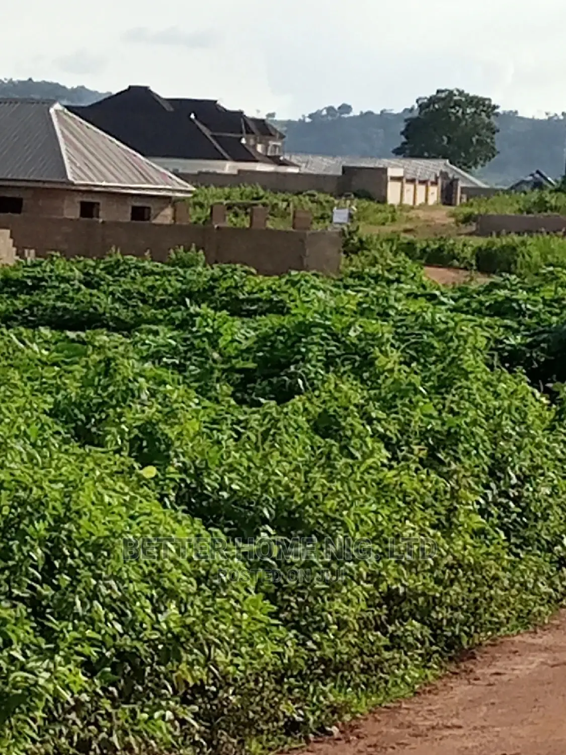For Sale Plots of Land With Original Survey and Agreement in Oluyole