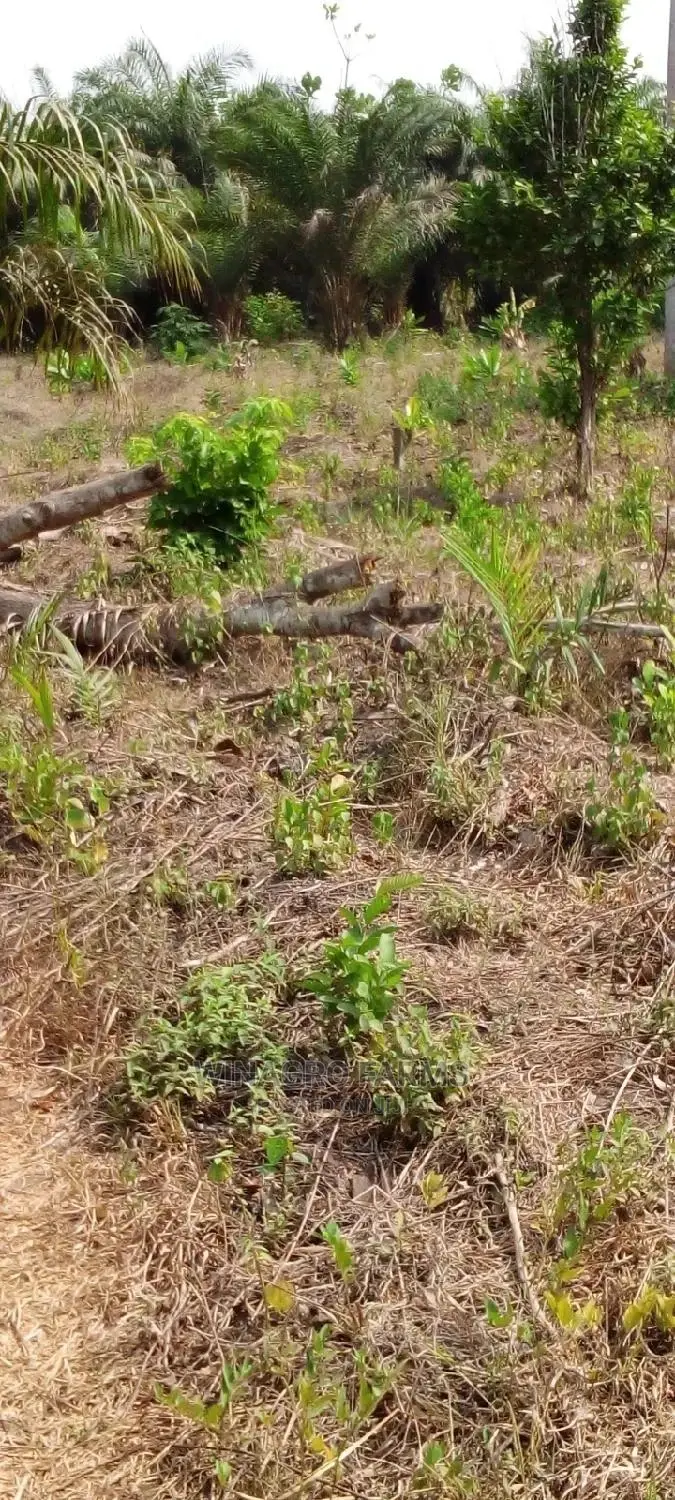 Farm Land for Sale in Abeokuta South
