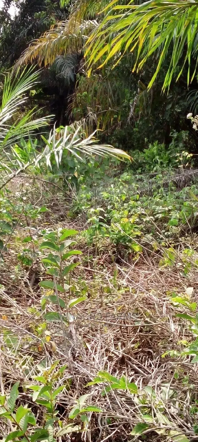 Farm Land for Sale in Abeokuta South