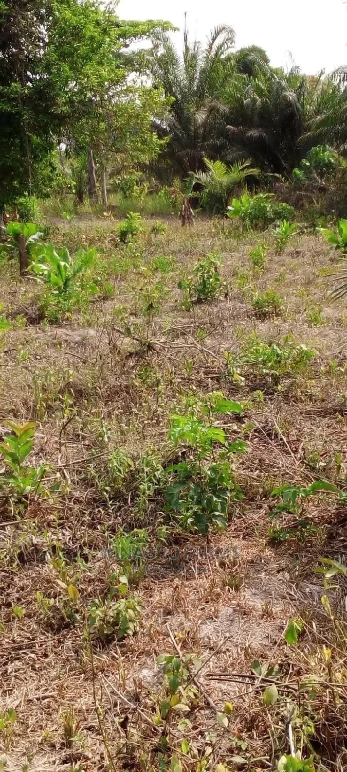 Farm Land for Sale in Abeokuta South