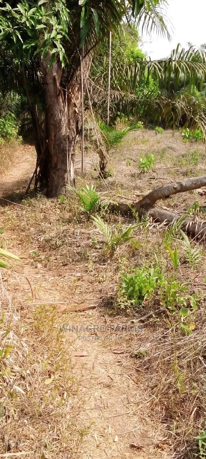 Farm Land for Sale in Abeokuta South
