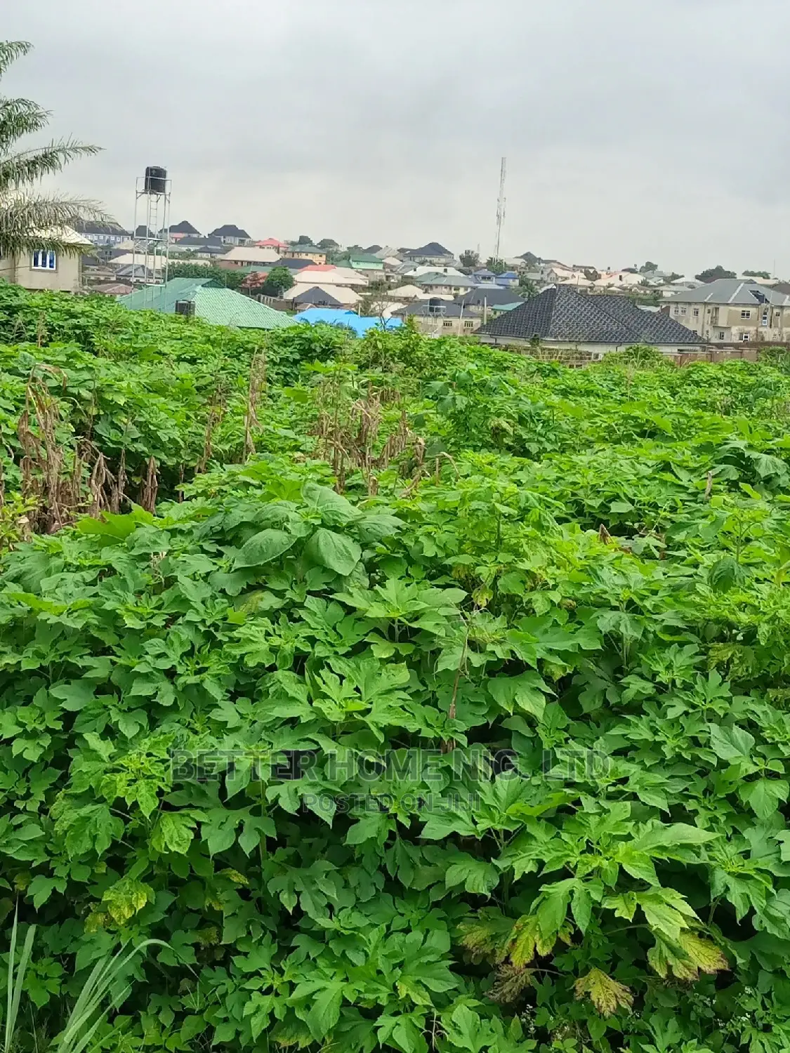 Land for Sale With Register Survey and Agreement in Oluyole