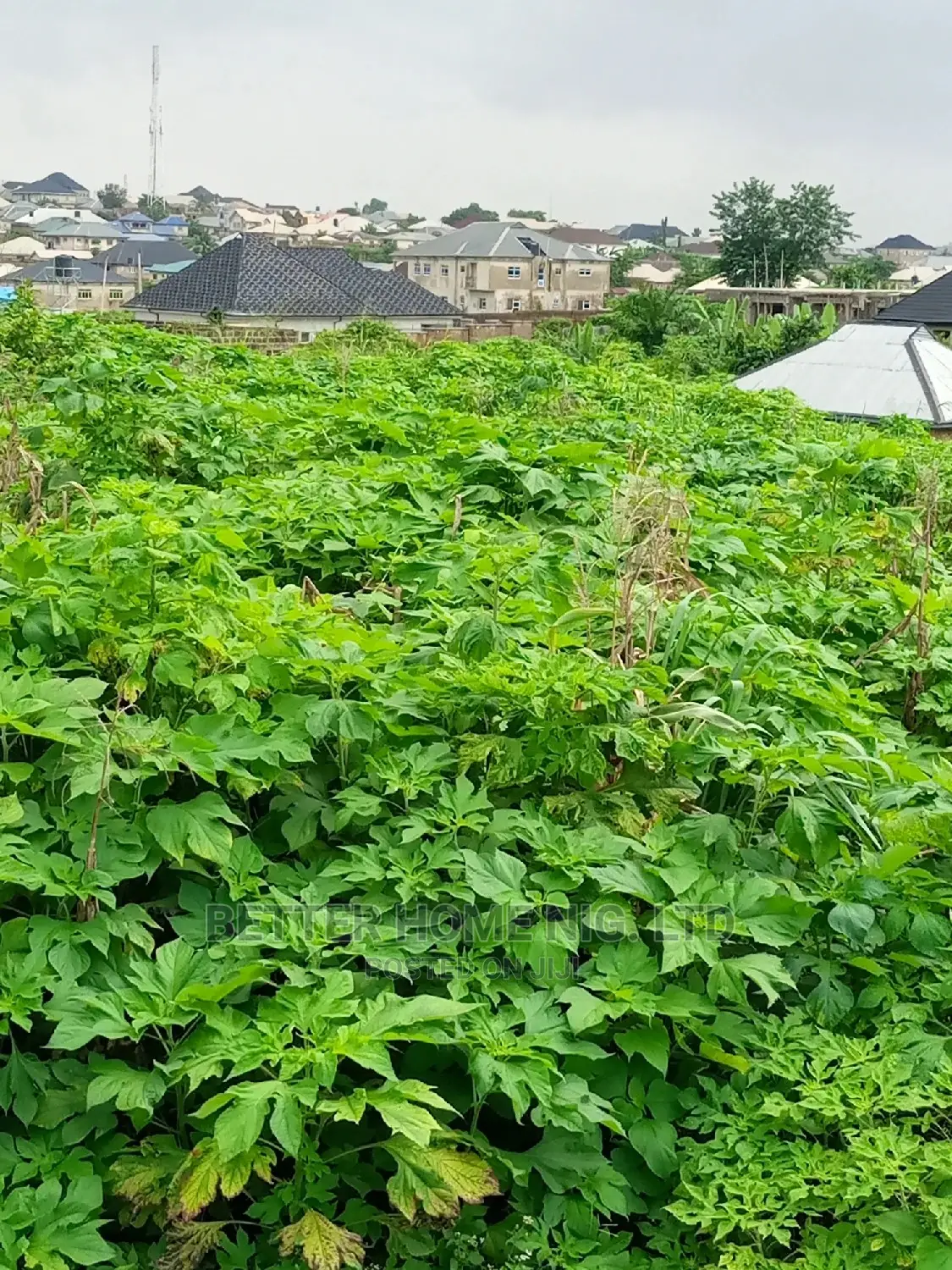 Land for Sale With Register Survey and Agreement in Oluyole