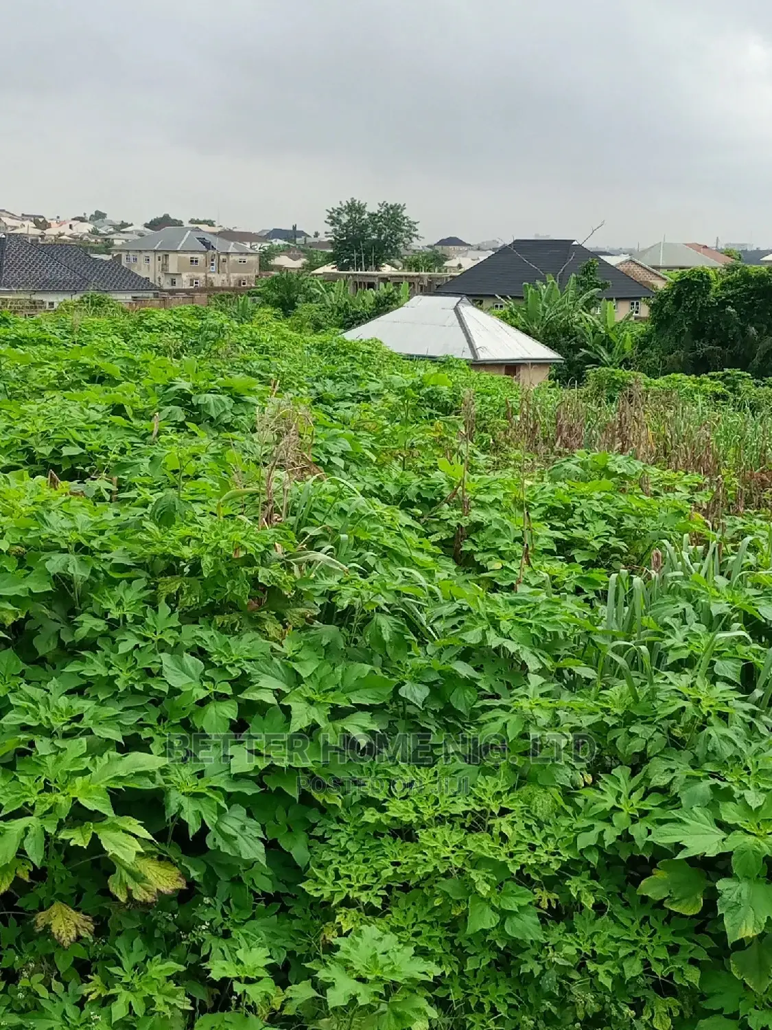Land for Sale With Register Survey and Agreement in Oluyole