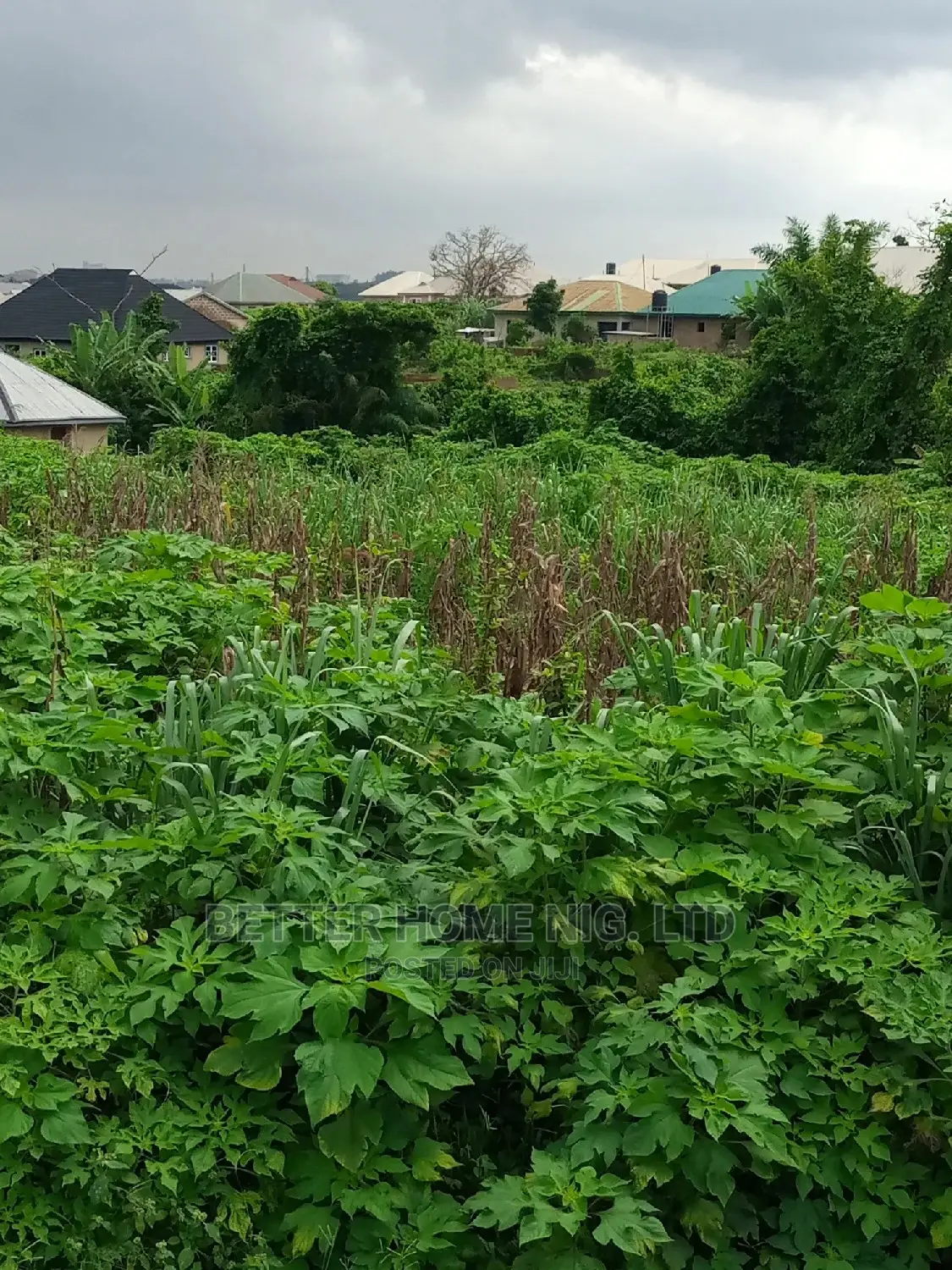 Land for Sale With Register Survey and Agreement in Oluyole