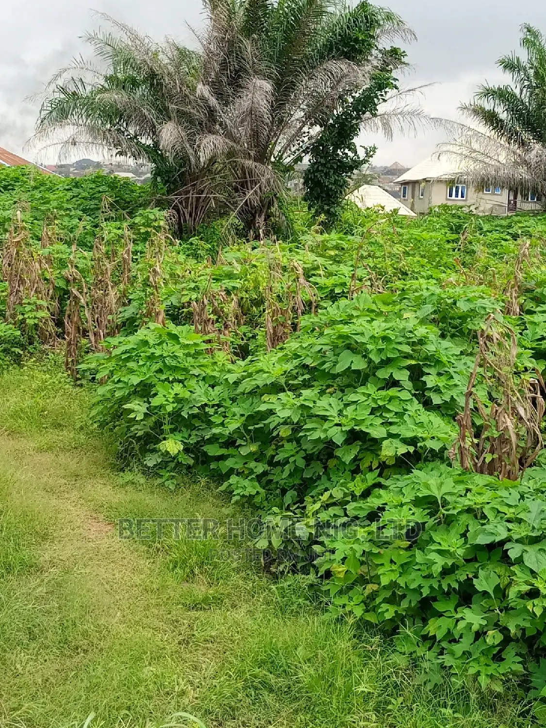 Land for Sale With Register Survey and Agreement in Oluyole