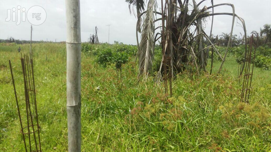 Fast Selling Plots of Land at Abule Ado Behind Trade Fair in Abule Ado