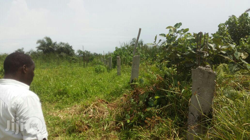 Fast Selling Plots of Land at Abule Ado Behind Trade Fair in Abule Ado