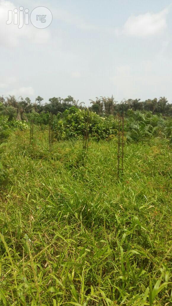 Fast Selling Plots of Land at Abule Ado Behind Trade Fair in Abule Ado