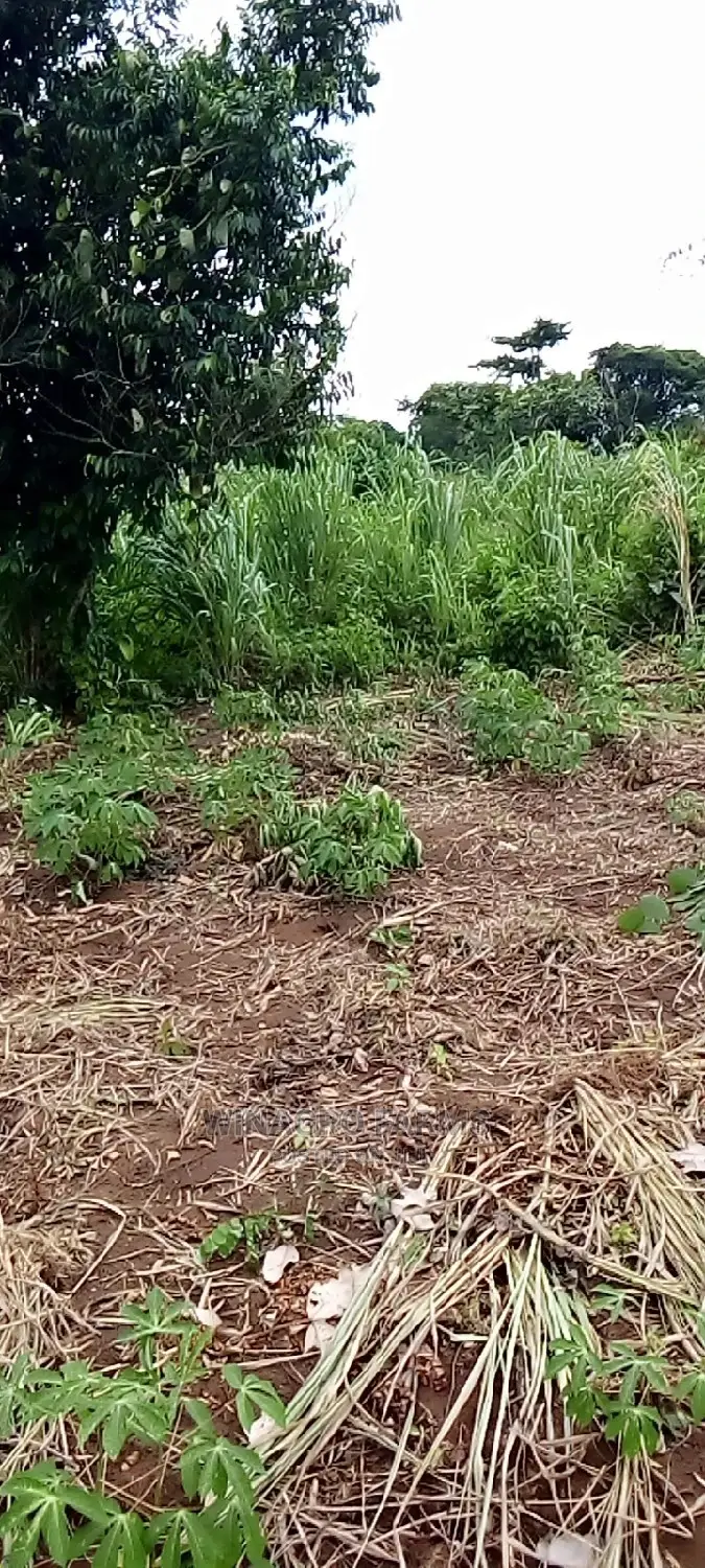 Evergreen Farm Land for Sale in Abeokuta South
