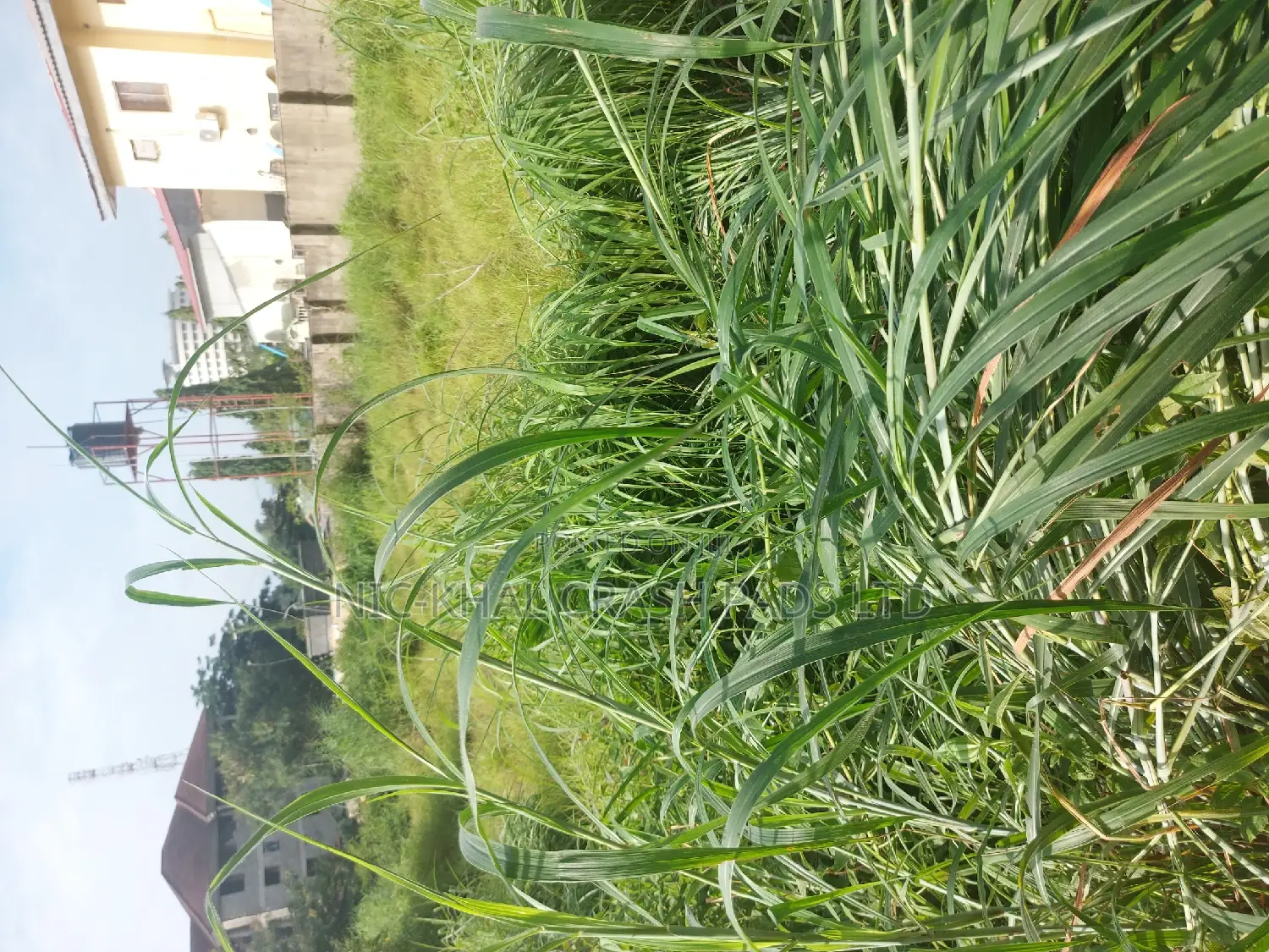 Residential of Land 4 Sale in the Heart of Wuse 2 in Wuse 2