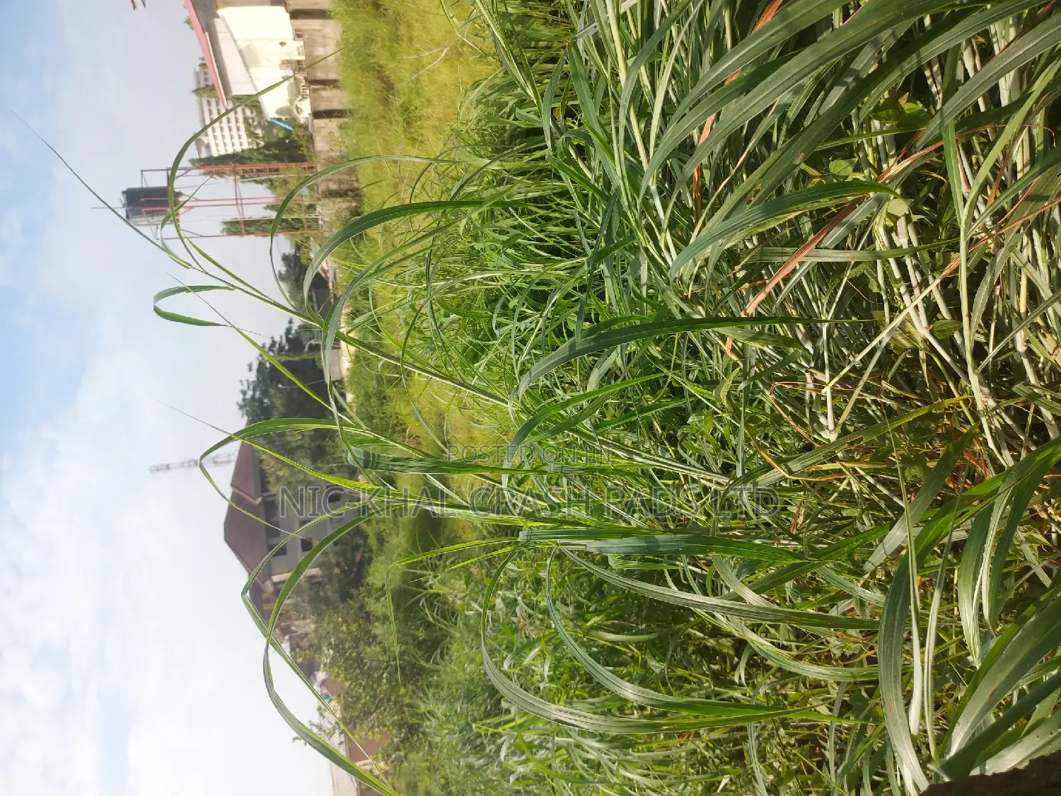 Residential of Land 4 Sale in the Heart of Wuse 2 in Wuse 2