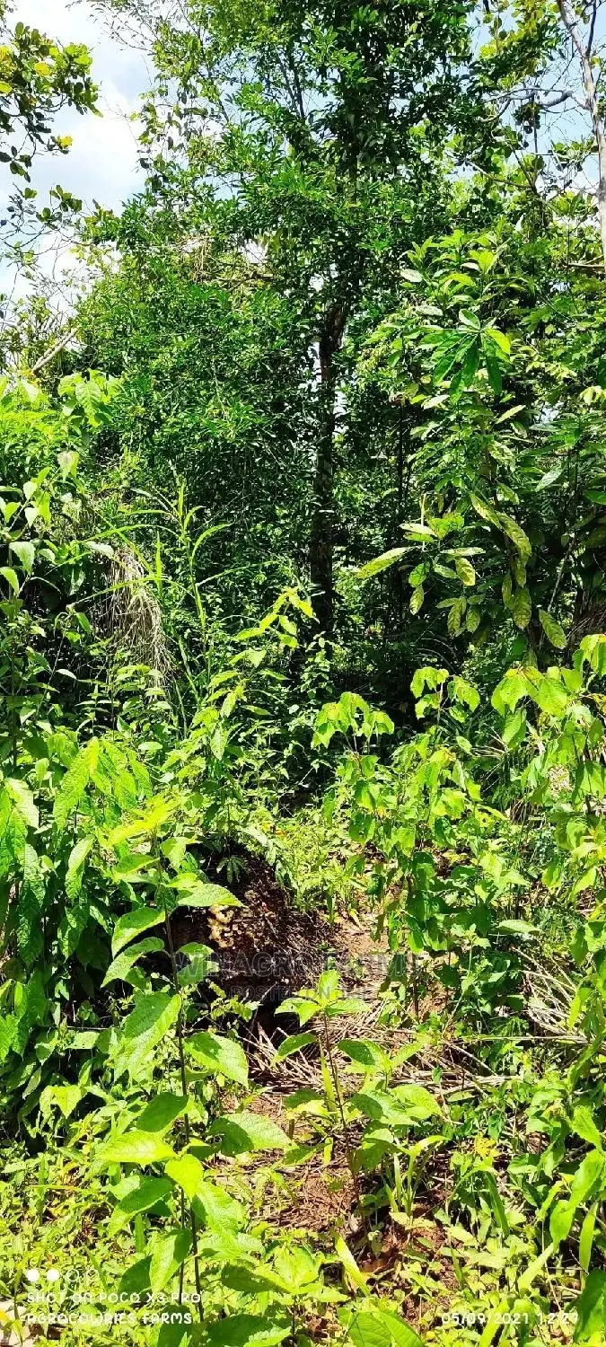 Massive Plots of Land for Sale at Abeokuta North in Abeokuta South