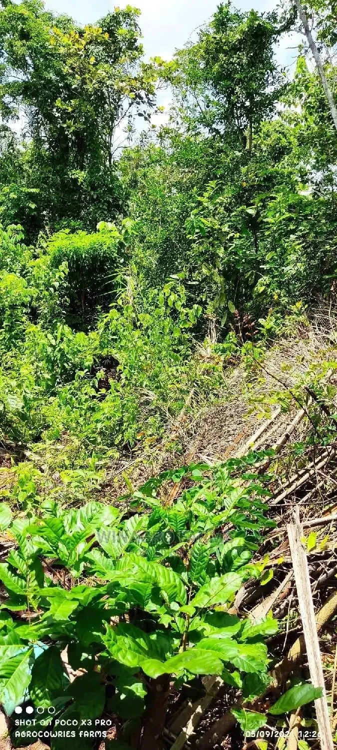 Massive Plots of Land for Sale at Abeokuta North in Abeokuta South