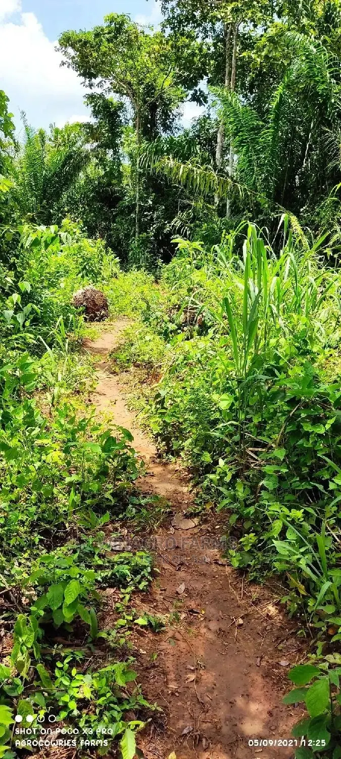 Agricultural Land for Sale in Abeokuta North in Abeokuta South