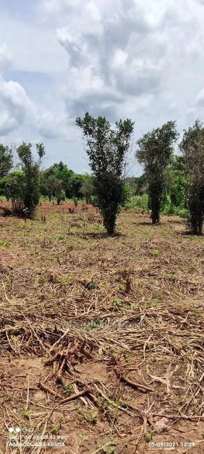 Agricultural Land for Sale in Abeokuta North in Abeokuta South