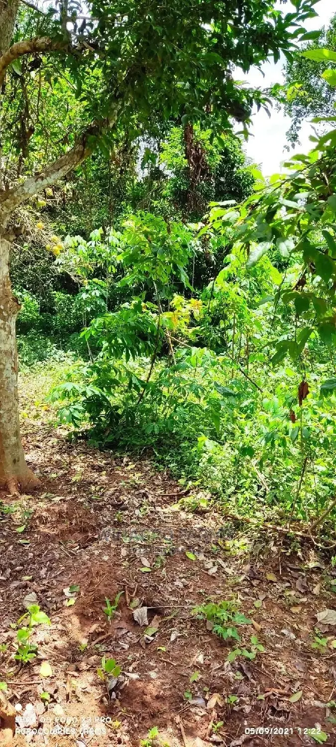 Fertile Agriculture Land for Sale in Ogun State in Abeokuta South