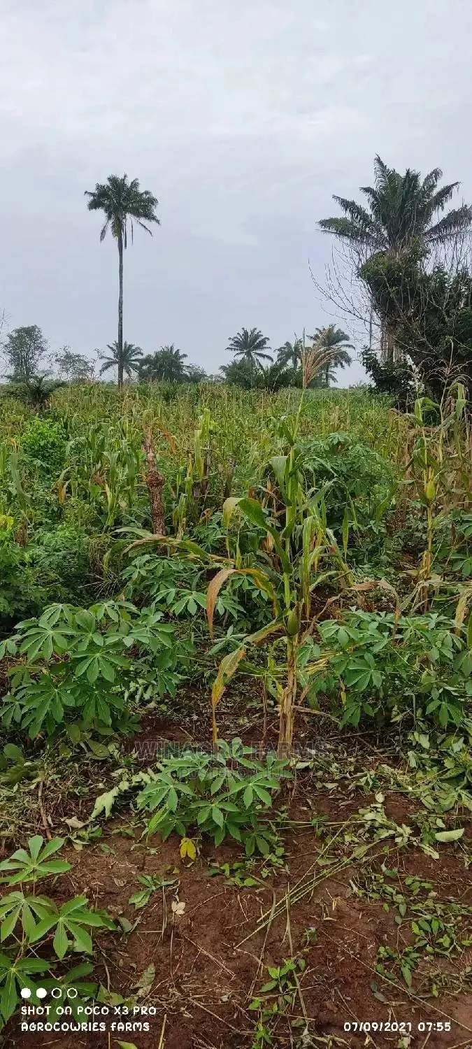 Good Bountiful Harvest Land for Sale in Ogun in Abeokuta South