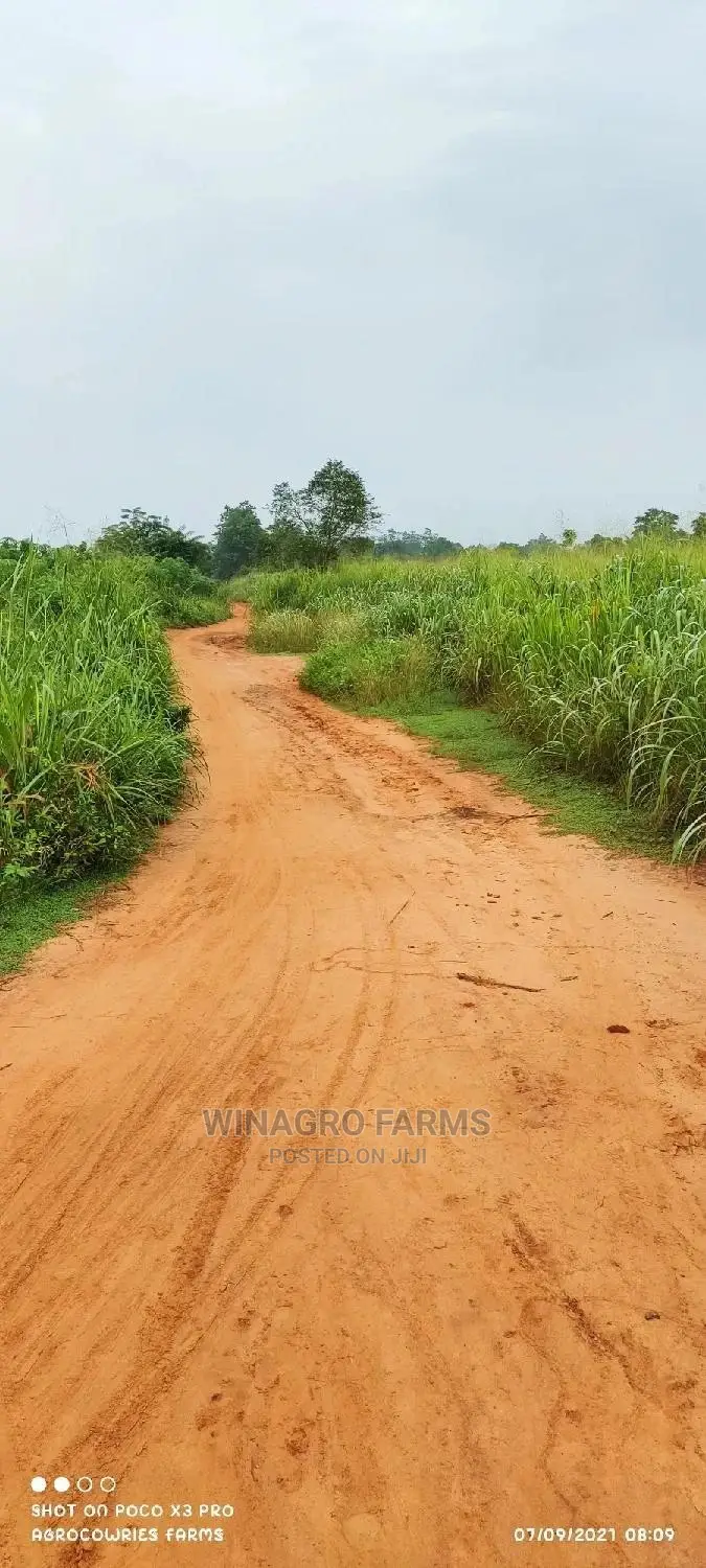 Good Bountiful Harvest Land for Sale in Ogun in Abeokuta South