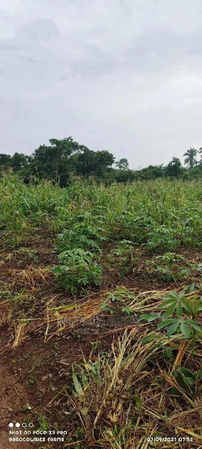 Executive Farm Land in Abeokuta South