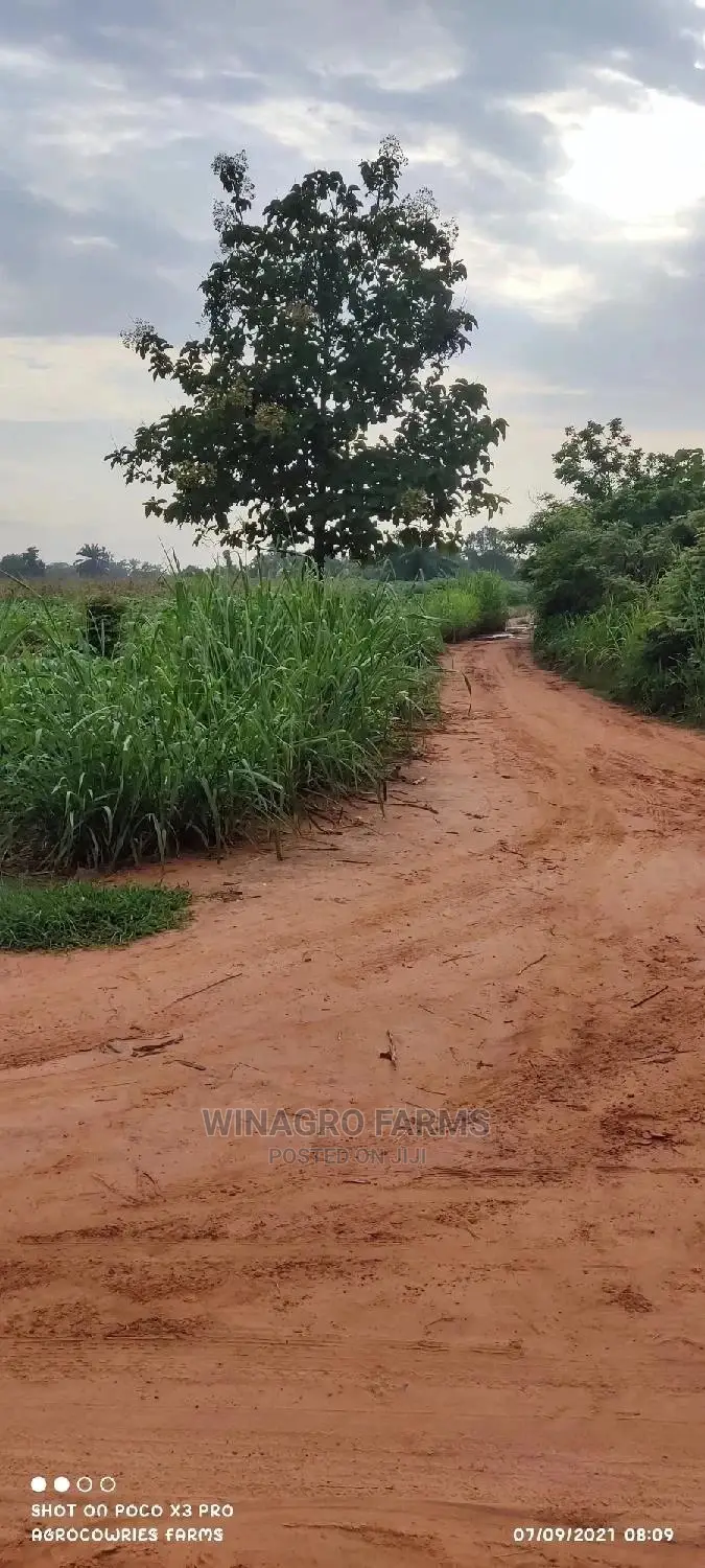 Executive Farm Land in Abeokuta South