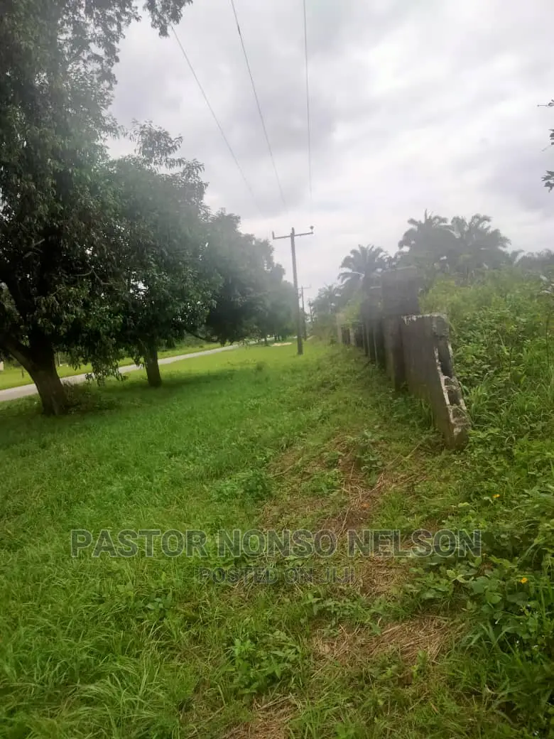 3plots on Tarred Road, by Imo State(Sam Mbakwe) Airport Road in Owerri