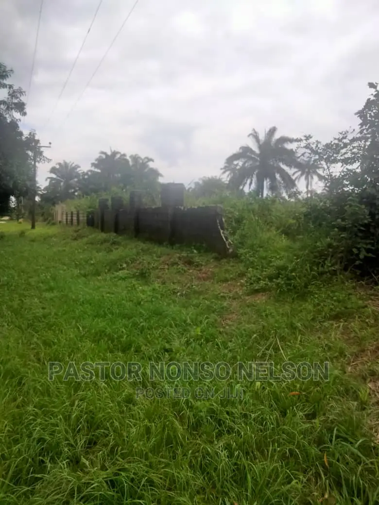 3plots on Tarred Road, by Imo State(Sam Mbakwe) Airport Road in Owerri