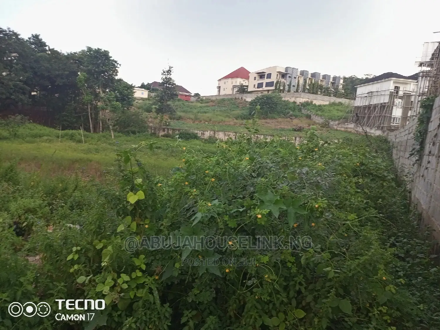 Certificate of Occupancy Documents in Guzape District