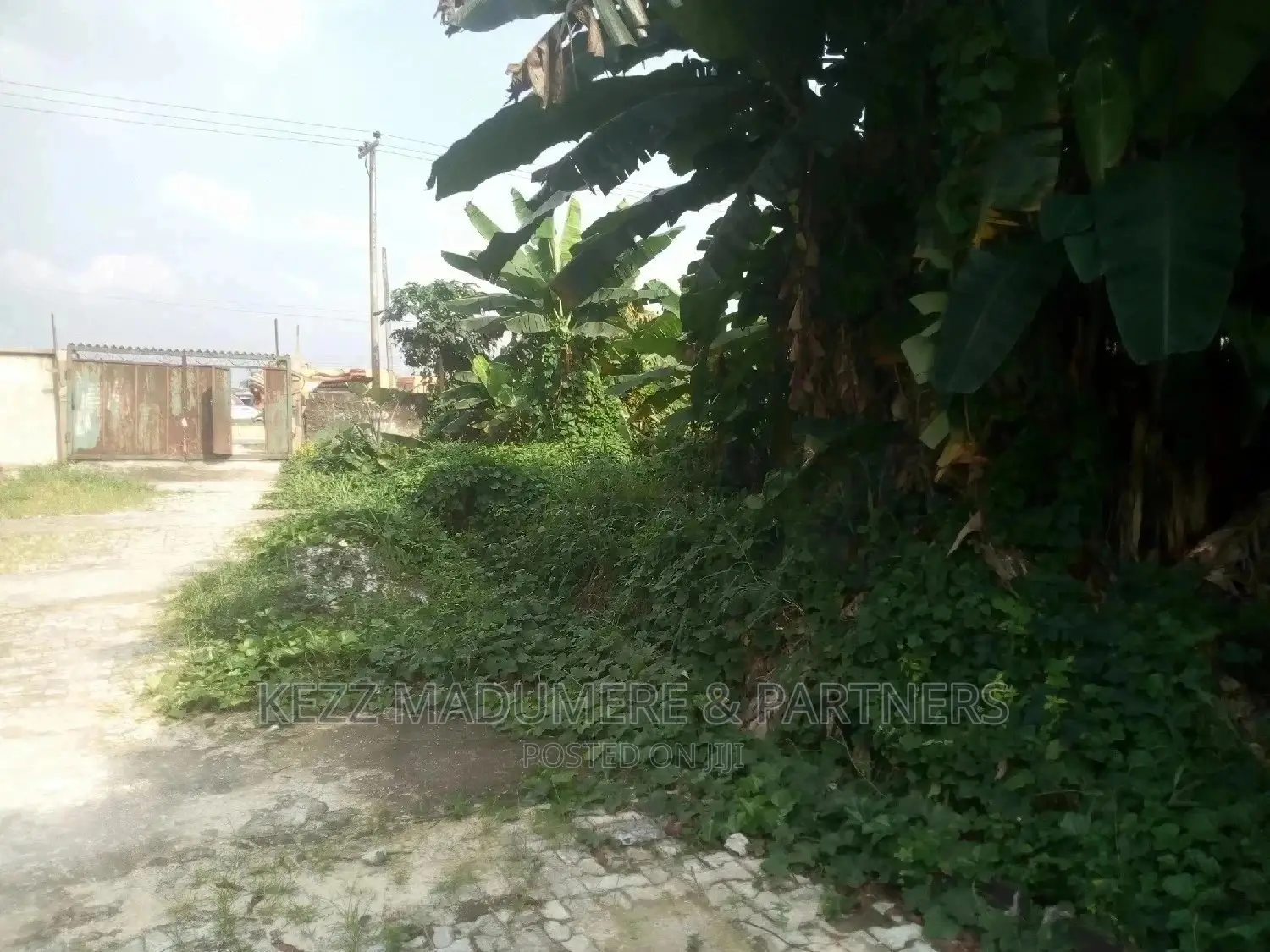 For Sale: 1 Plot of Land at Coconut, Rumuodomaya, Ph in Rumuahalu