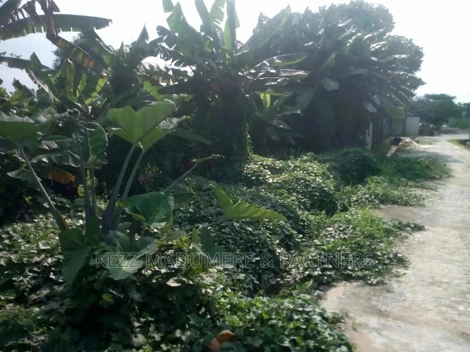 For Sale: 1 Plot of Land at Coconut, Rumuodomaya, Ph in Rumuahalu