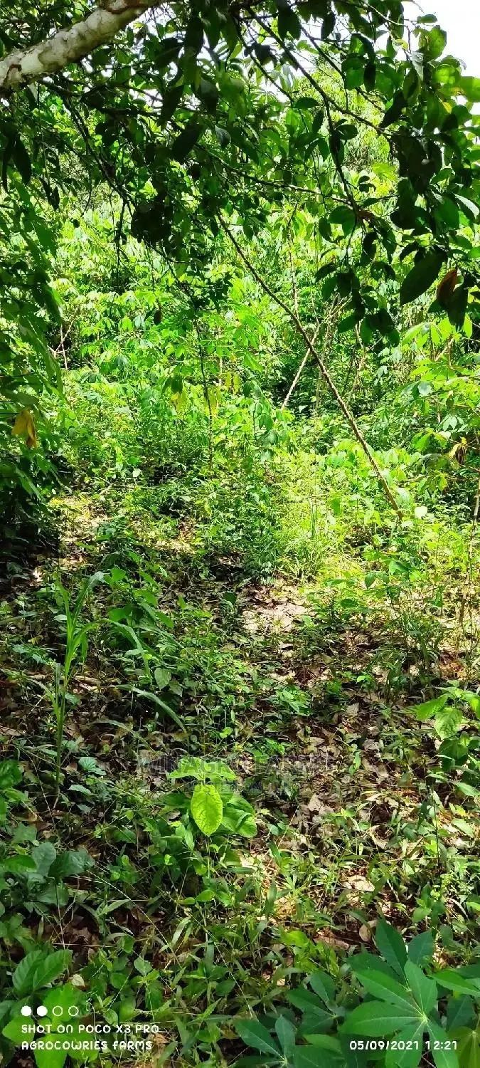 Affordable Acres of Land for Farming for Sale in Ogun in Abeokuta South