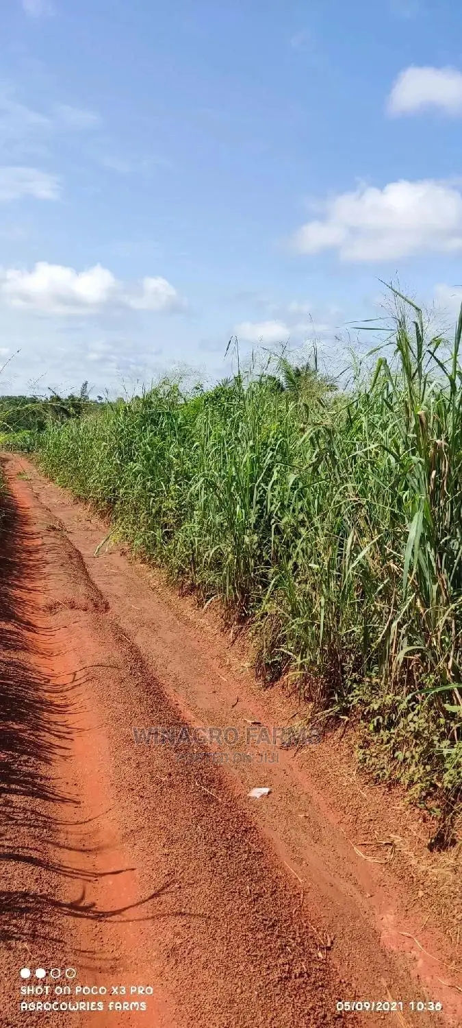 Cheapest Farm Land Dey Ogun State in Abeokuta South