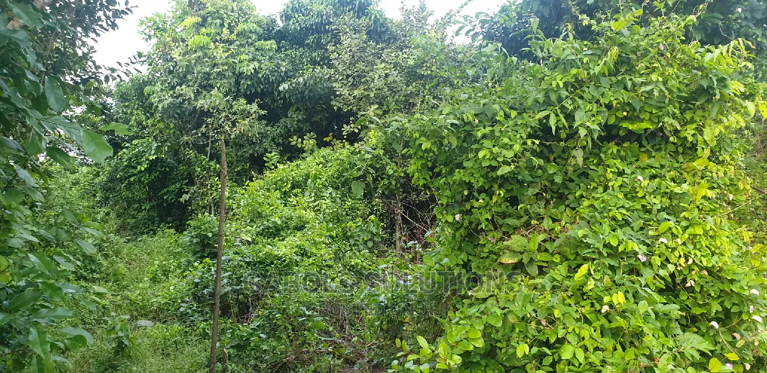 Hectares of Dryland for Sale at Epe in Epe