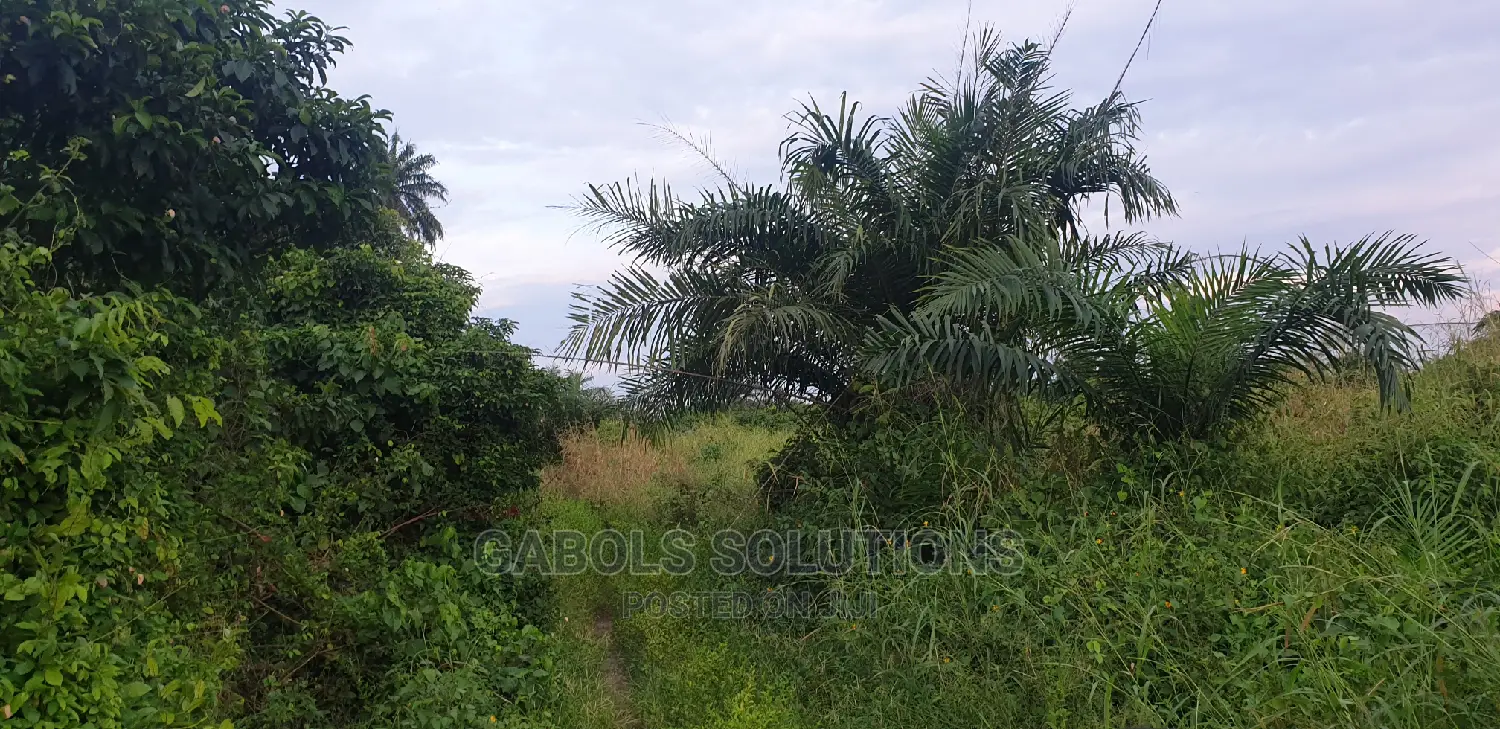 Hectares of Dryland for Sale at Epe in Epe