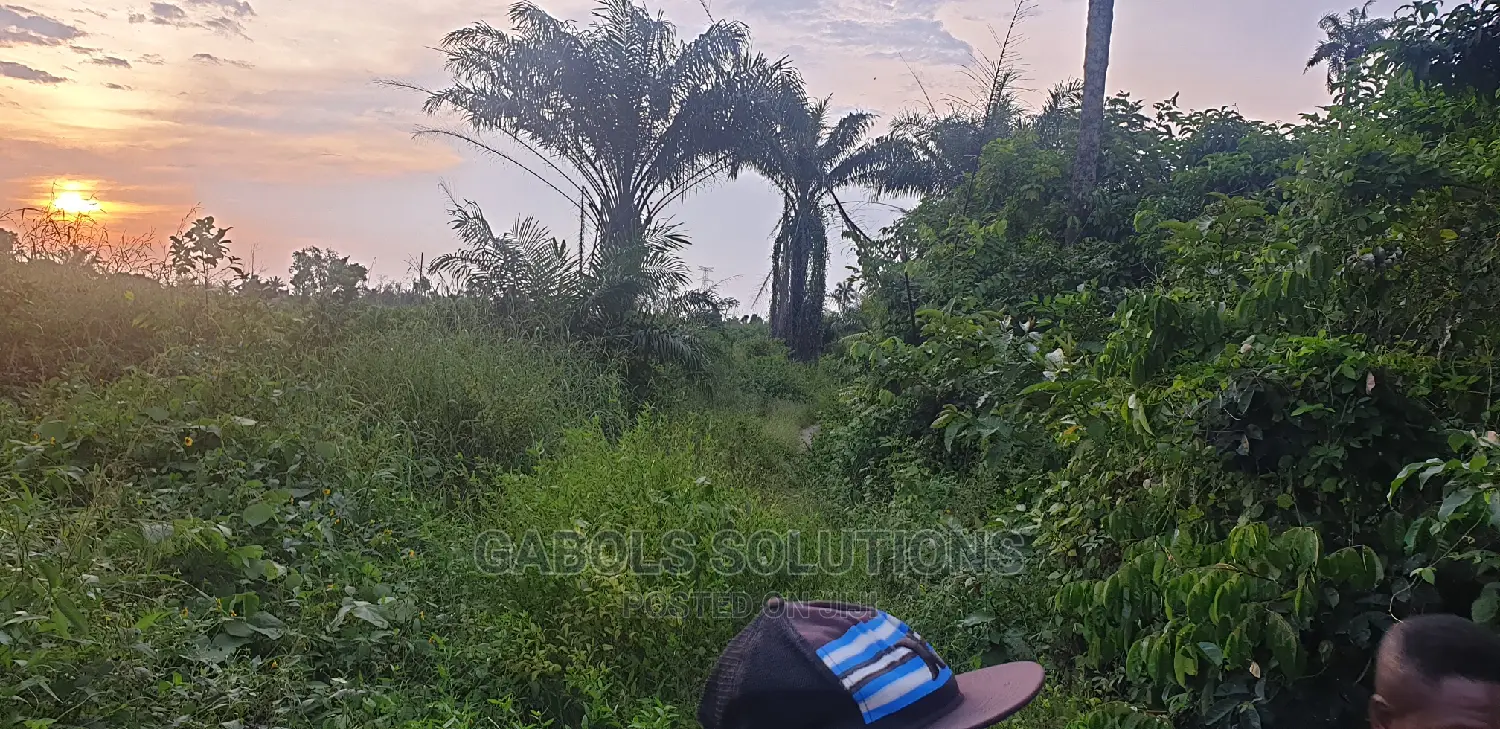 Hectares of Dryland for Sale at Epe in Epe