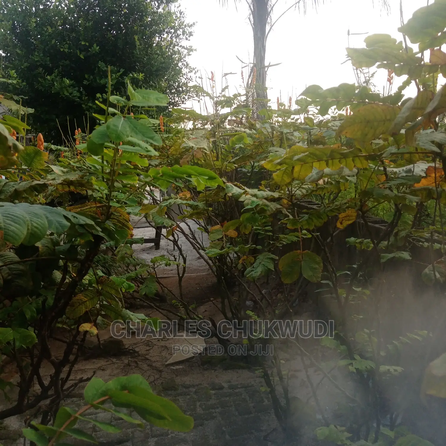 One and Half Plot of Land Facing the Express in Ibeju