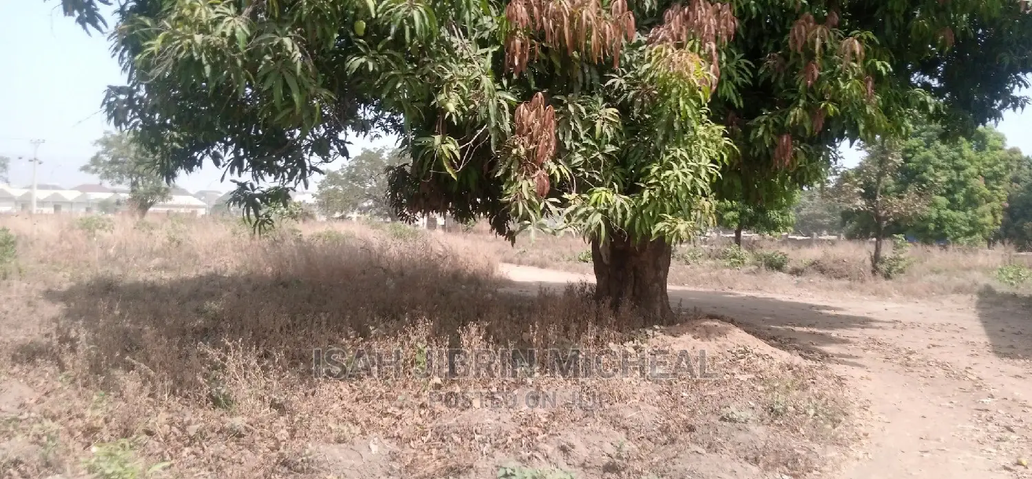 Factory Warehouse and Large Land Space for Sale in Kubwa