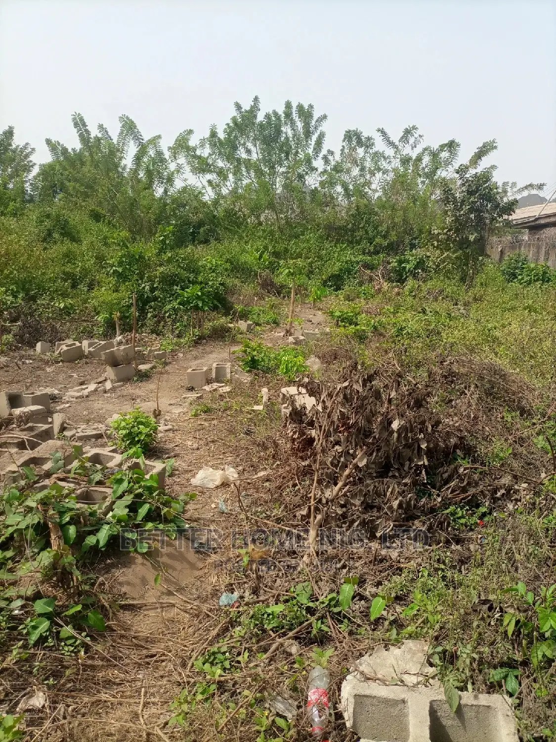 Certificate of Occupancy and Agreement in Oluwo