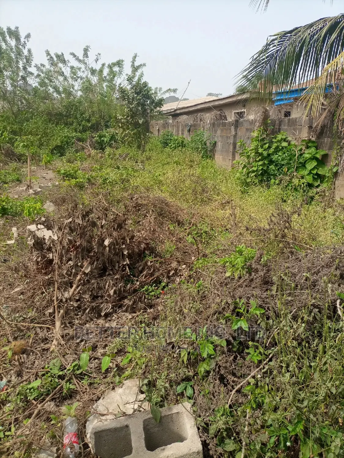 Certificate of Occupancy and Agreement in Oluwo